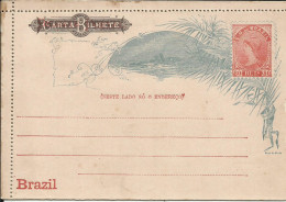 Entier Postal , Carte Lettre ; Carta Bilhete , 80 Reis , BRESIL ; BRAZIL , CASA Da MOEDA , µ - Entiers Postaux