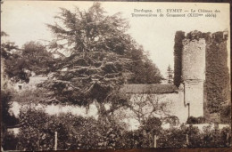 Cpa, EYMET Le Château Des Teyssonnières De Grammont, Non écrite, éd Guionie - Eymet