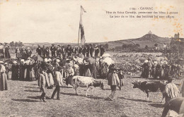 Carnac * La Fête De St Cornély , Protecteur Des Bêtes à Cornes * Folklore Local - Carnac