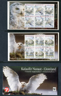 Greenland 1999 Snowy Owls. Booklet Complet W. 12 Stamps - USED - Booklets