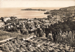 Beaulieu Sur Mer * Cueillette Des Fleurs Et Vue Sur Le Cap Ferrat * Cueilleuses - Beaulieu-sur-Mer