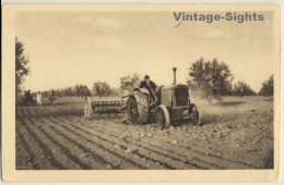 Tunisia: Cultivation Of Olive Trees With Tractor (Vintage PC) - Trattori