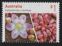 Australia 2017 MNH Sc 4647 $1 Calandrinia Creethae Succulents - Mint Stamps