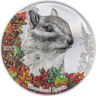 500 Togrog Mongolia 2023 PP - 1 OZ Woodland Spirit - Chipmunk 2023 - Mongolei - Mongolie