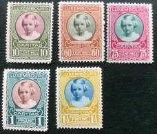 Luxembourg - Luxemburg - C17/1 - MH - 1928 - Michel 208#212 - Prinses Maria Adelheid - Oblitérés