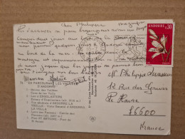 ANDORRE  LA VIEILLE  1974 CARTE FLEUR LYS - Covers & Documents