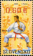 225246 MNH ESLOVAQUIA 2009 KARATE. - Lotta