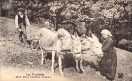 FRANCE - Les Pyrénées - Deux Heureux Couples - Carte Postale Ancienne - Other