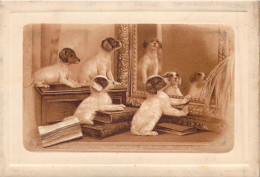 ANIMAUX - Chiens - Miroir - Carte Postale Ancienne - Cani