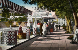 Las Palmas Plaza De La Democracia Kiosk  Flower Palm Trees Tiles  18/4-2023 - La Palma