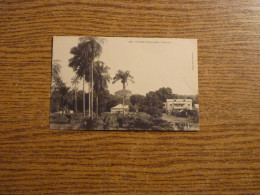Delcampe - CPA Guinée Française - Afrique - Konakry - Voir Détails Sur Photos - 9 Cm X 14cm Env. - Französisch-Guinea