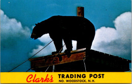 New Hampshire North Woodstock Clark's Trading Post "Ratus" Black Bear - White Mountains