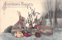 Pâques - Lapins Et Les Oeufs - Illustration Non Signée - Carte Postale Ancienne - Easter