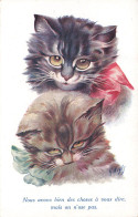 Chats * Cpa Illustrateur A. WUYTS * Chatons Chat * Katze Cat - Chats