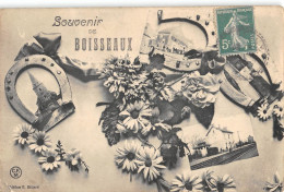 CPA 45 SOUVENIR DE BOISSEAUX - Sonstige & Ohne Zuordnung