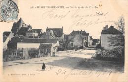 CPA 45 BEAULIEU SUR LOIRE ENTREE ROUTE DE CHATILLON - Sonstige & Ohne Zuordnung