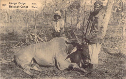 CONGO - Elan - Chasse - Carte Postale Ancienne - Autres & Non Classés