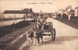 CPA 45 CERDON DU LOIRET A LA CAMPAGNE VOITURE A CHIENS - Autres & Non Classés