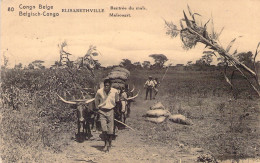 CONGO - ELISABETHVILLE - Rentrée Du Maïs - Carte Postale Ancienne - Sonstige & Ohne Zuordnung