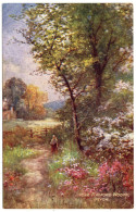 Near Radford Woods - G.H. Jenkins - Tuck Oilette 7858 - Plymouth