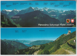 Panorama Schynige Platte - Gelaufen Ab Wilderswil - Wilderswil