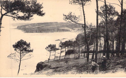 FRANCE - 29 - DOUARNENEZ - La Plage Du Ris Vue Prise Du Bois De Sapins - N D - Carte Postale Ancienne - Douarnenez