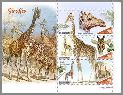 SIERRA LEONE 2022 MNH Giraffes Giraffen Girafes M/S - OFFICIAL ISSUE - DHQ2316 - Giraffen