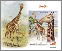 SIERRA LEONE 2022 MNH Giraffes Giraffen Girafes S/S I - OFFICIAL ISSUE - DHQ2316 - Giraffes