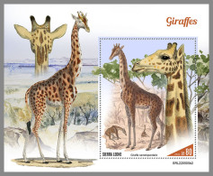 SIERRA LEONE 2022 MNH Giraffes Giraffen Girafes S/S II - OFFICIAL ISSUE - DHQ2316 - Giraffen