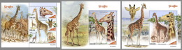 SIERRA LEONE 2022 MNH Giraffes Giraffen Girafes M/S+2S/S - OFFICIAL ISSUE - DHQ2316 - Giraffes