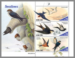 SIERRA LEONE 2022 MNH Swallows Schwalben Avale M/S - IMPERFORATED - DHQ2316 - Swallows