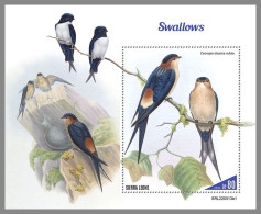SIERRA LEONE 2022 MNH Swallows Schwalben Avale S/S I - IMPERFORATED - DHQ2316 - Swallows