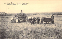 CONGO BELGE - Récolte Du Riz - Carte Postale Ancienne - Belgisch-Kongo