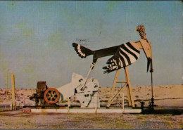 ! 1984 Postcard Bahrein Oil Pump, Oil Well, Ölförderung, Erdöl, Bird - Bahreïn