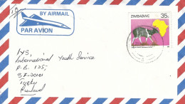 Zimbabwe 1987 Avondale Jentink's Duiker Antilope Cover - Game