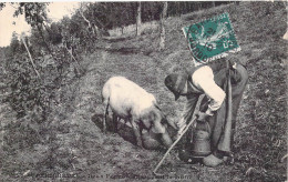 FOLKLORE - St Périgueux - Deux Périgords Trouvant La Truffe - Carte Postale Ancienne - Autres & Non Classés