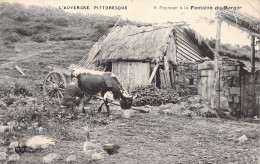 FOLKLORE - L'Auvergne Pittoresque - Paysage à La Fontaine-du-Berger - Carte Postale Ancienne - Andere & Zonder Classificatie