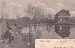 Watermael - Boisfort - Pêche Impériale - Circulé En 1905 - Dos Non Séparé - Belle Animation - BE - Watermael-Boitsfort - Watermaal-Bosvoorde