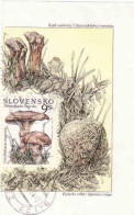Slovakia 1997, Mi 291, Mushrooms, Used. I Will Complete Your Wantlist Of Czech Or Slovak Stamps According To The Michel - Gebruikt