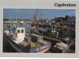 Capbreton  Le Port  Bateau De Pêche " Le Gorille " - Péniches