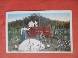 Black Americana   Cotton Harvest.       Ref 6031 - Negro Americana