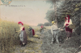 AGRICULTURE - La Moisson - Carte Postale Ancienne - Autres & Non Classés