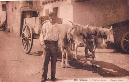 AGRICULTURE - Attelage Basque - Bas-Cambo - Carte Postale Ancienne - Equipaggiamenti