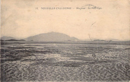 FRANCE - Nouvelle Calédonie - Nouméa - Magenta - Le Parc Epic - Carte Postale Ancienne - Nouvelle Calédonie