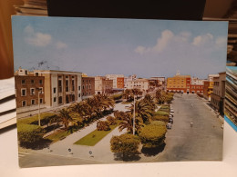 2 Cartoline  Latina Piazza Della Libertà Anni 70 - Latina