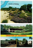 Lot 2 X CPA Groeten Uit Bosberg Houthalen Helchteren Postkaarten Groot Formaat Grand Format - Houthalen-Helchteren
