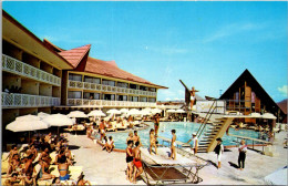 Florida Miami Beach The Castaways Resort Motel Swimming Pool - Miami Beach