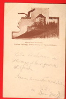 MON-09 SELTEN Schloss Heidegg Bei Station Gelfingen. Seethalbahn Pionier. Gelaufen HITZKIRCH HIZJIRCH 1898 - Hitzkirch