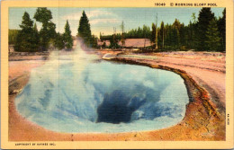 Yellowstone National Park Morning Glory Pool 1939 Curteich - USA Nationalparks