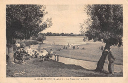 CPA 49 LA DAGUENIERE LA PLAGE SUR LA LOIRE - Andere & Zonder Classificatie